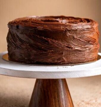 matilda chocolate cake on a cake stand with a rich and shiny chocolate fudge frosting; picture from the side